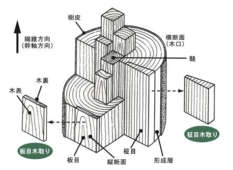 家具 知識